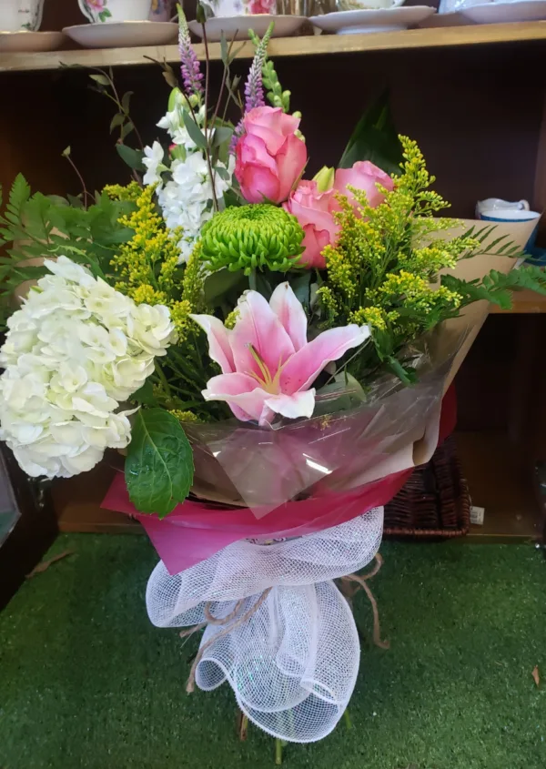 Lilly Fiesta