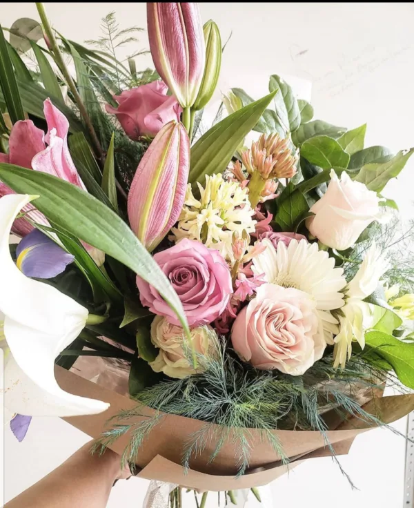 Stargazer Bundle