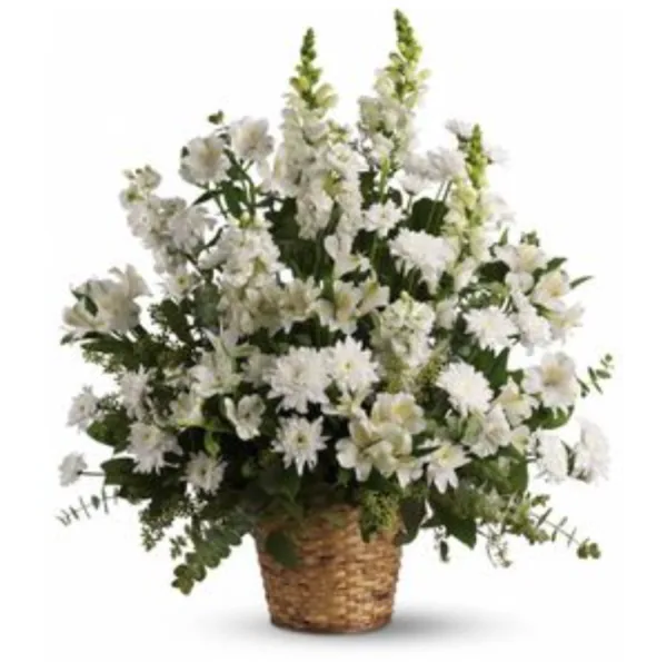 Purity