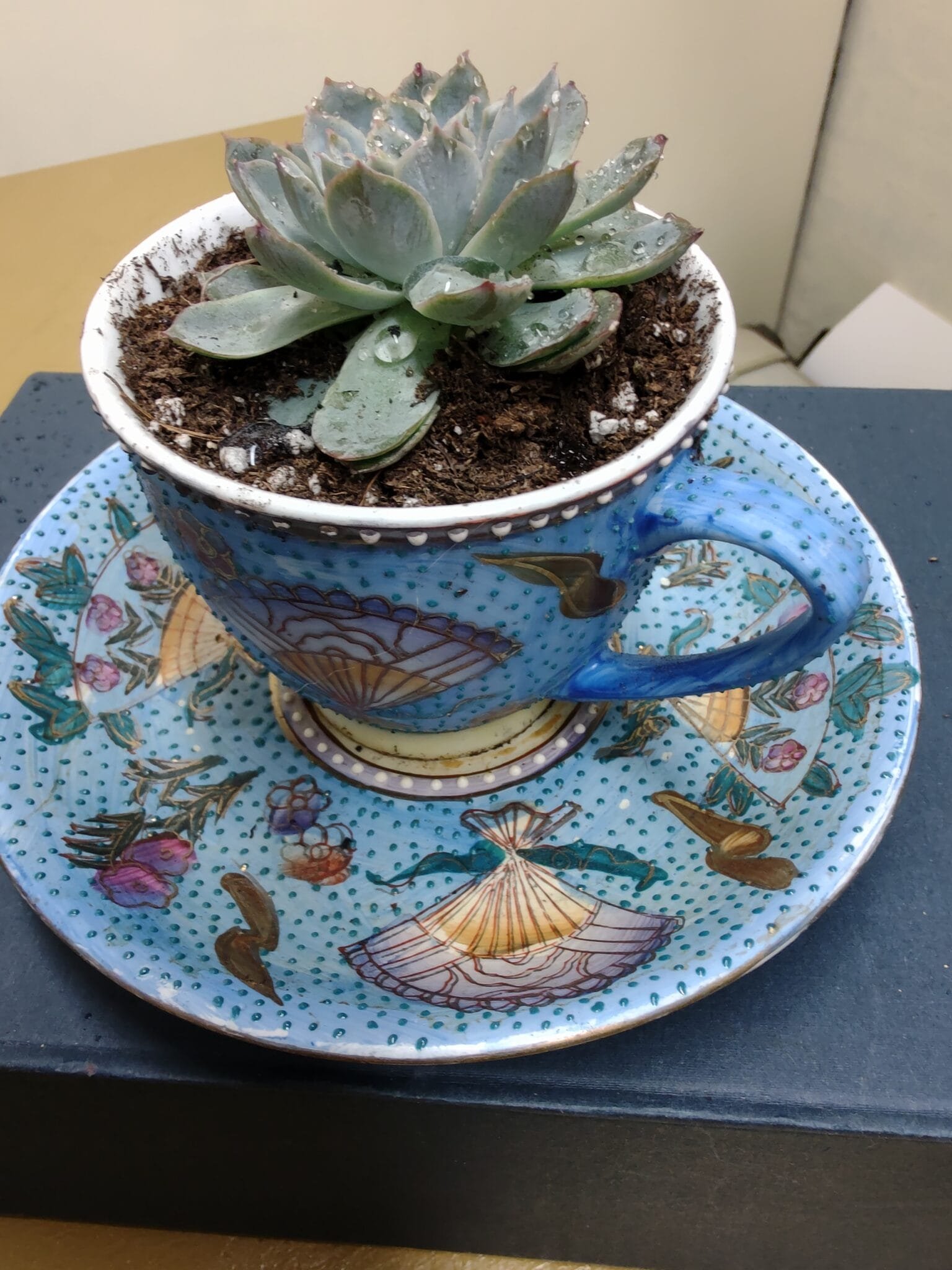 Bone China Succulent Planter Hana Floral Designs and Co.