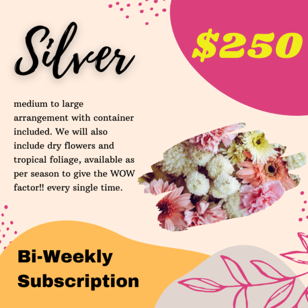Silver - (Bi-Weekly Subscription)