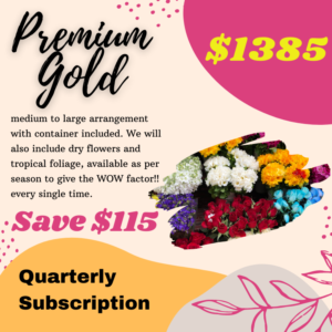 Premium Gold - (Quarterly Subscription)